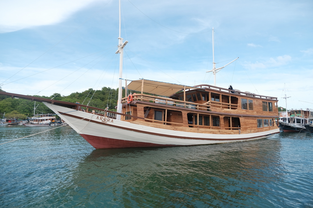 Private Trip by Arora Deluxe Phinisi - Komodo Boat Charter