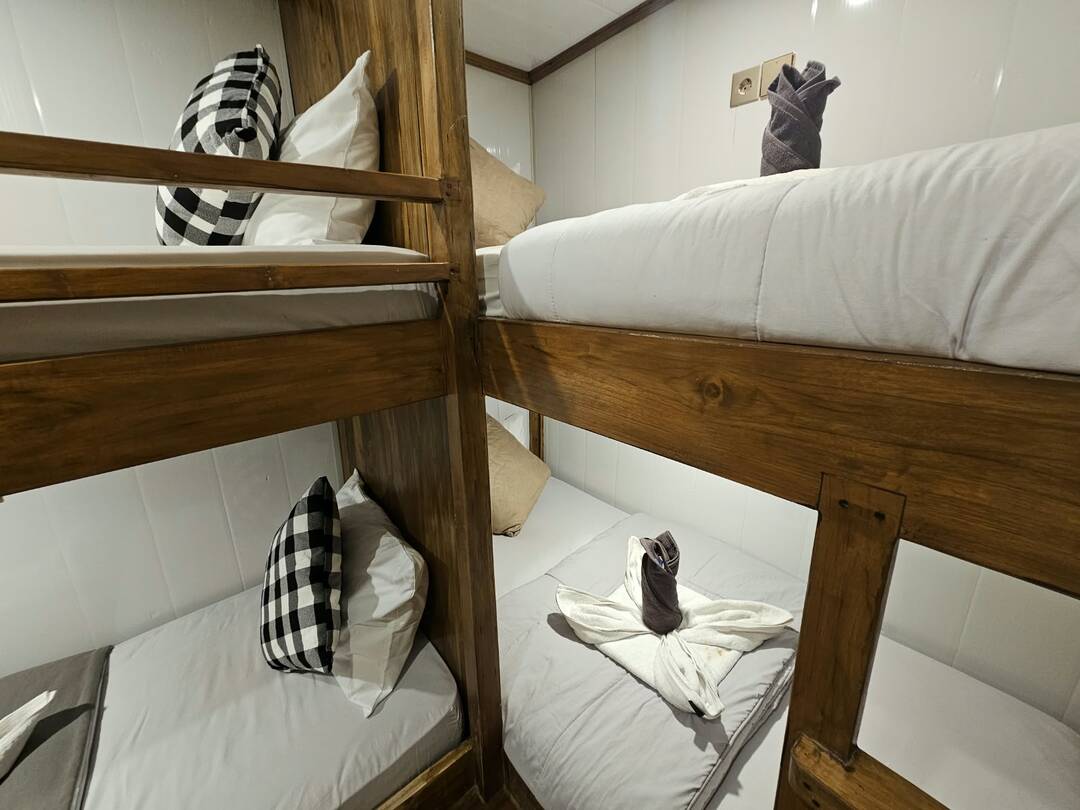 Private Trip by Blessing Deluxe Phinisi - Komodo Boat Charter