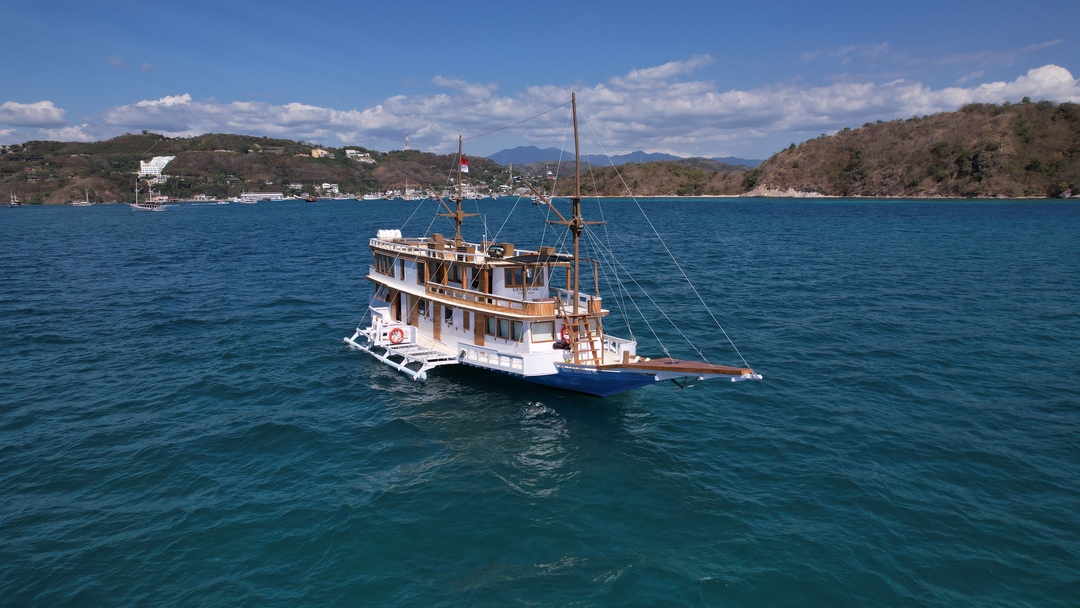 Open Trip Weekdays by Raja Bintang Deluxe Phinisi - Komodo Sharing Tours