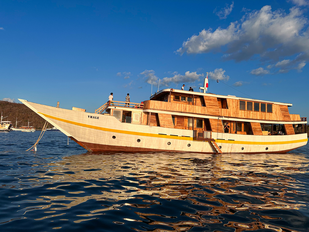 Open Trip 3D2N by Vhale Deluxe Phinisi - Komodo Sharing Tours