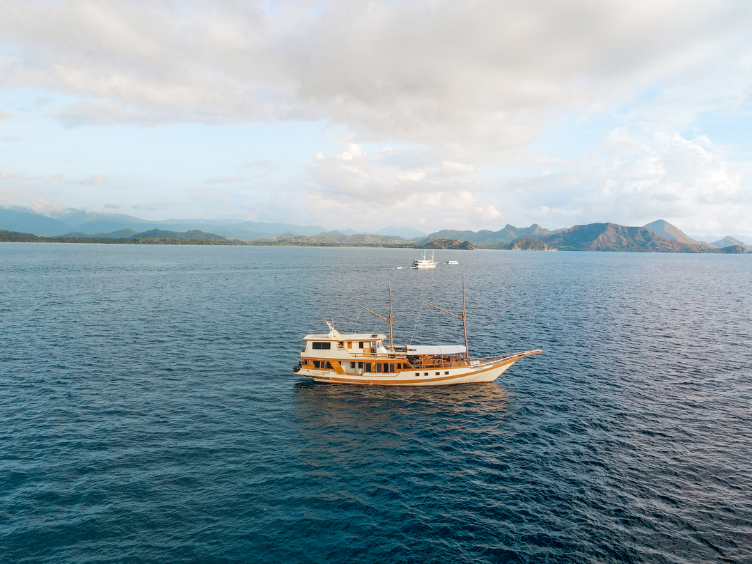 Komodo Private Trip by Almadira Superior Phinisi - Komodo Boat Charter