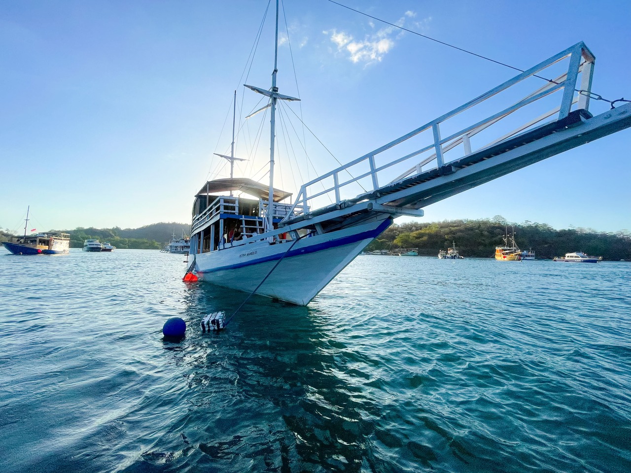 Komodo Private Trip by Tectona Phinisi  - Komodo Boat Charter
